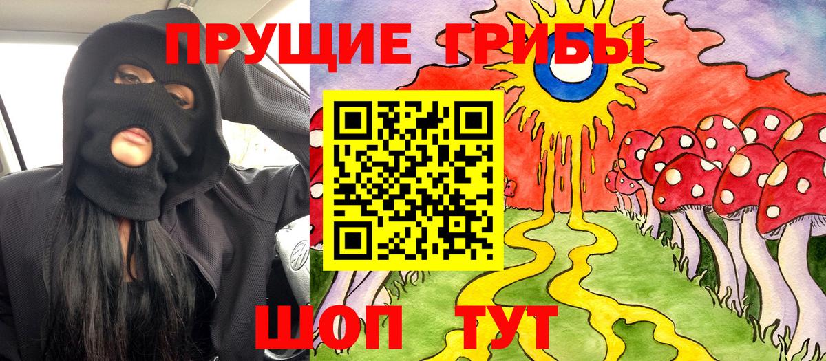Галлюциногенные грибы Psilocybe Тамбов