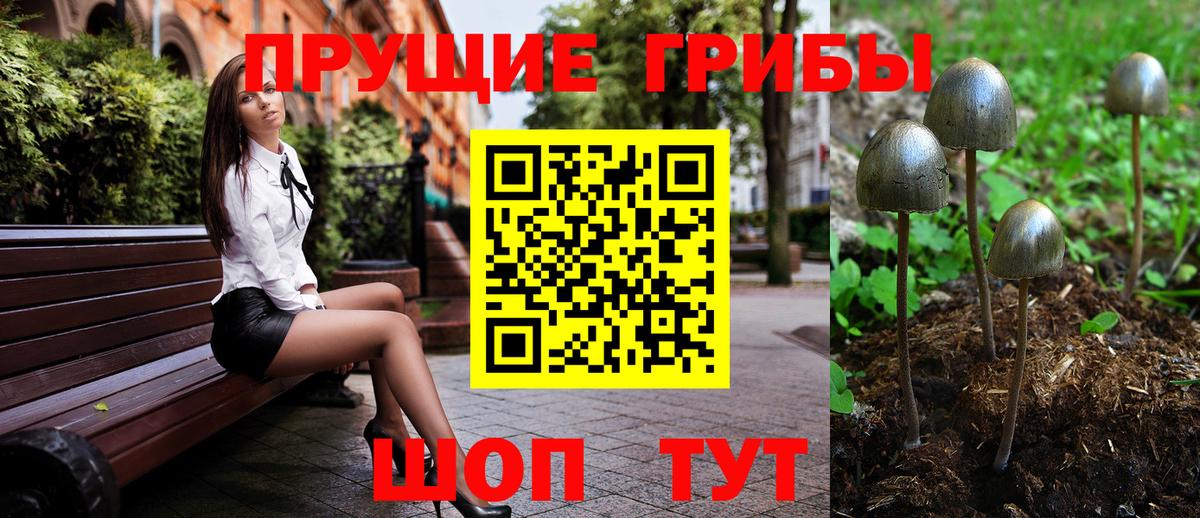 Тамбов  наркотики  Вход с VPN  Галлюциногенные грибы ЛСД 